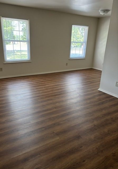 Gallery Photo 2
